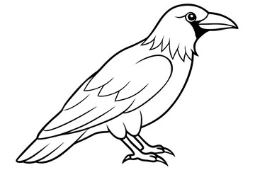 raven silhouette line art vector illustration with a white background
