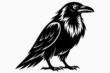 raven silhouette line art vector illustration with a white background