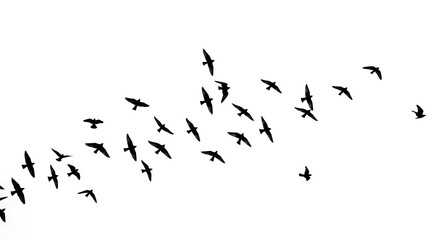 Ephemeral Flight AI Generated