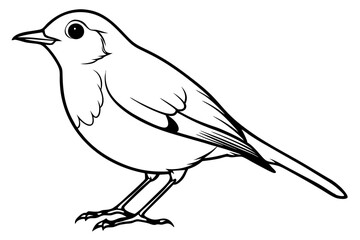 robin silhouette line art vector illustration with a white background