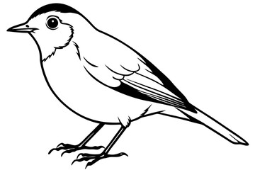 robin silhouette line art vector illustration with a white background