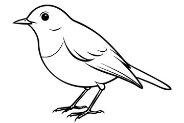 robin silhouette line art vector illustration with a white background