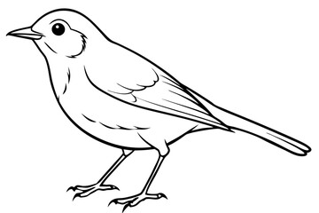 robin silhouette line art vector illustration with a white background