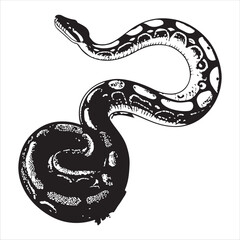 Obraz premium python Vector