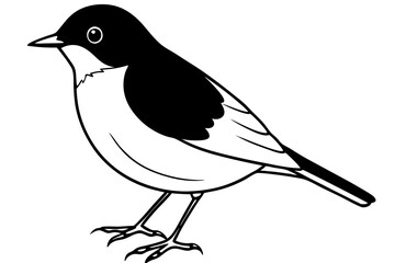 robin silhouette line art vector illustration with a white background