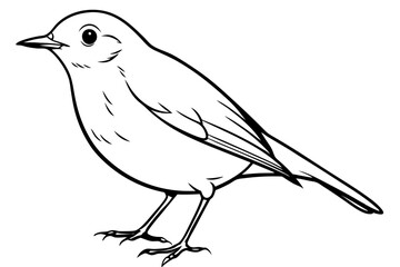 robin silhouette line art vector illustration with a white background