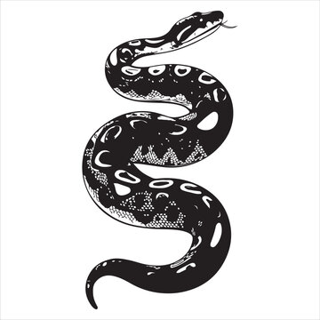 python  Vector