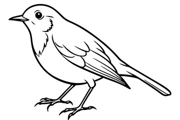 robin silhouette line art vector illustration with a white background