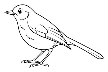robin silhouette line art vector illustration with a white background