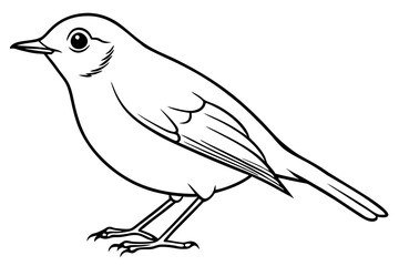 robin silhouette line art vector illustration with a white background