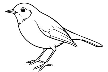 Obraz premium robin silhouette line art vector illustration with a white background