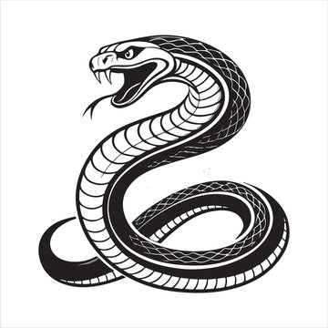 python  Vector