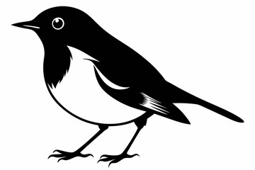 robin silhouette line art vector illustration with a white background