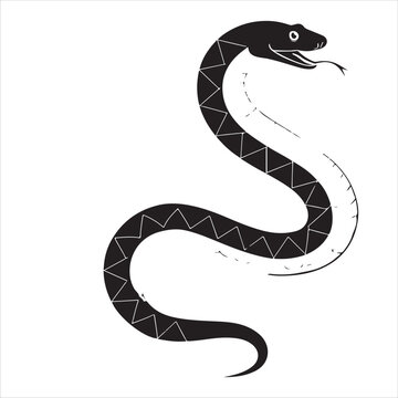 python  Vector