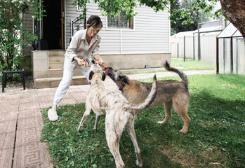 A beautiful woman plays with two dogs in the yard near the house. Summer, fun.