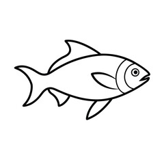 fish vector illustration