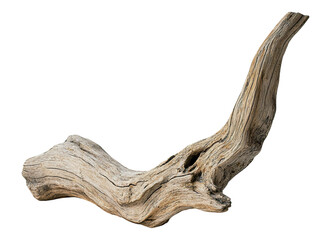 Fototapeta premium Driftwood