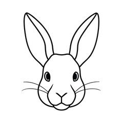 vector illustration of a rabbit