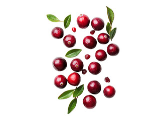 Obraz premium Fresh Dried Cranberries