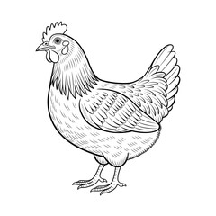 A black and white hen illustration line art of a coloring page