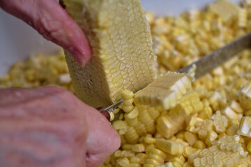 Photos of a person slicing or cutting corn on the cob with a knife to prepare cake or humitas