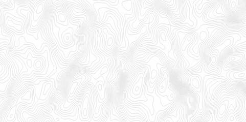 White topography topology vector white background fresh contour map texture. white seamless pattern Abstract background with a wave Topography and geography map grid abstract backdrop.