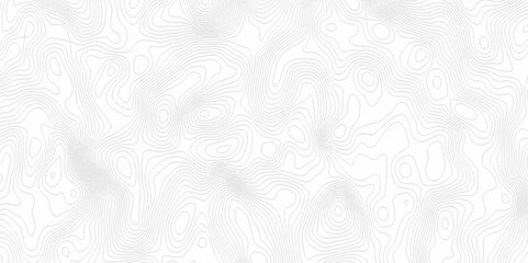 White topography topology vector white background fresh contour map texture. white seamless pattern Abstract background with a wave Topography and geography map grid abstract backdrop.