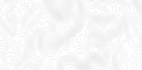 White topography topology vector white background fresh contour map texture. white seamless pattern Abstract background with a wave Topography and geography map grid abstract backdrop.