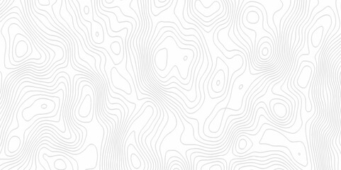 White topography topology vector white background fresh contour map texture. white seamless pattern Abstract background with a wave Topography and geography map grid abstract backdrop.