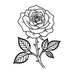 A black and white rose illustration line art of a coloring page