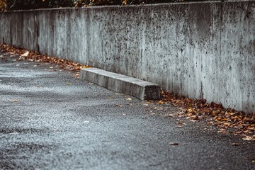 Concrete curb, wet pavement, autumn leaves