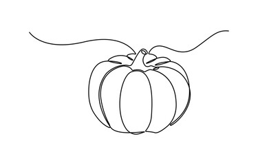 Continuous one line drawing of pumpkin fruit. Fresh pumpkin in single line draw illustration.