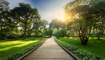 Fototapeta premium walkway in the park