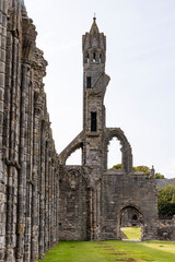 The ruins of St Andrews Cathedral overlook the sea, surrounded by ancient tombs and old stone...