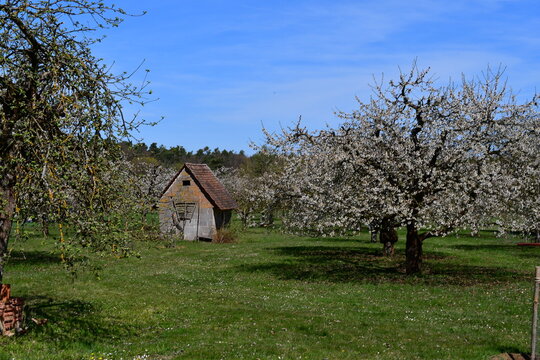 Sch&ouml;ne Landschaft zur Kirschbl&uuml;te bei Kalchreuth in Franken 