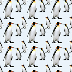 The March Of The Penguins Seamless Vector Pattern Design