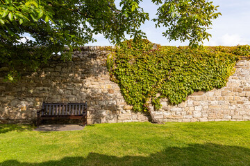 The ruins of St Andrews Cathedral overlook the sea, surrounded by ancient tombs and old stone walls. A peaceful, sacred place filled with religious history and timeless beauty. Endless architecture.
