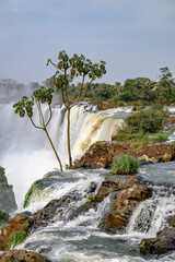 Iguazu waterfalls in overcast weather. High quality photo