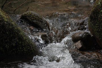 The Limb Brook, in Ecclesall Woods, Sheffield