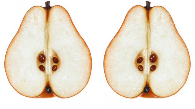 Perfectly symmetrical cross-sections of pear fruit with an isolated dark background