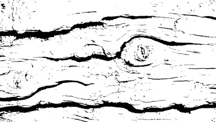 Vector black and white wood texture. Wood texture with beautiful natural patterns white Transparent background.
