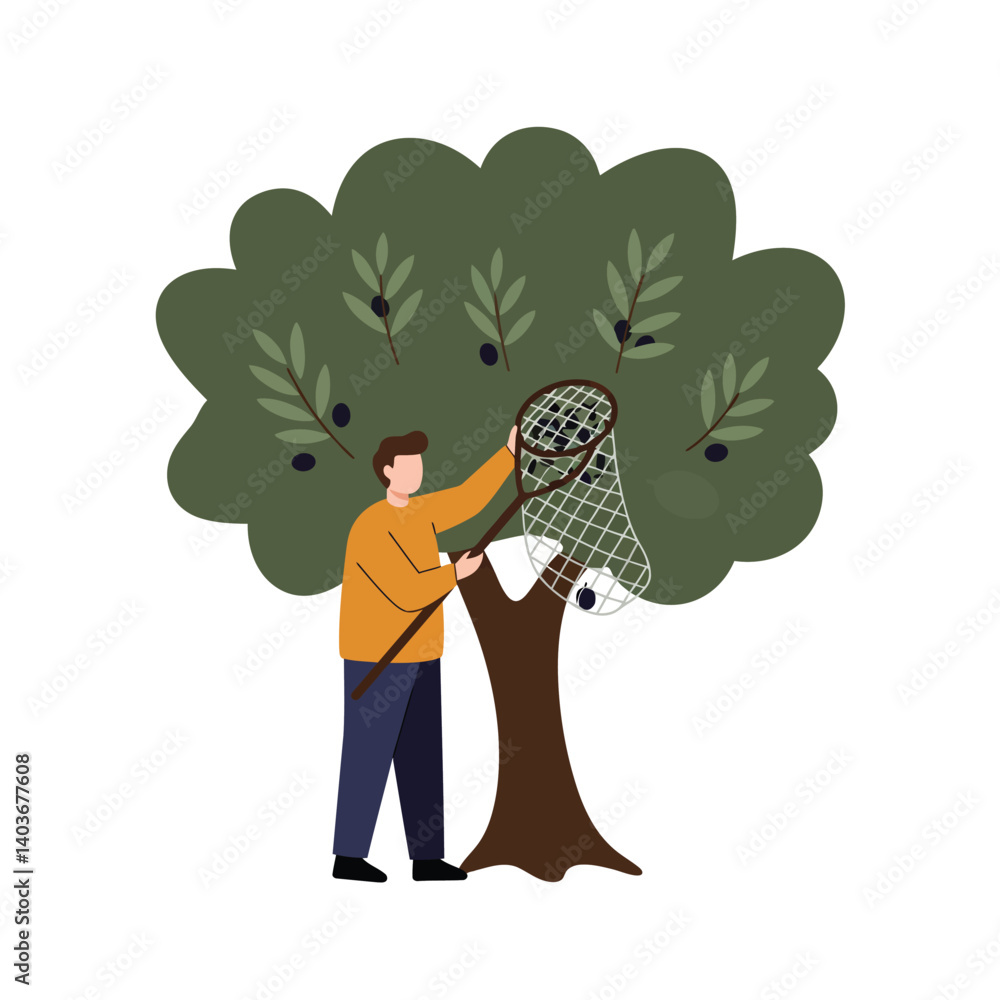 Poster man harvesting olives from tree in flat and minimal vector art
