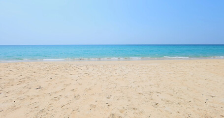Sandy beach with clear blue ocean under bright sky, expansive and tranquil. Crisp clarity, ideal for coastal conservation articles or seaside resort marketing.