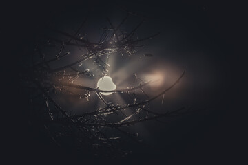 A partial solar eclipse in the sky over Latvia with rays piercing through clouds and tree branches in the foreground, creating a mysterious and dramatic scene.