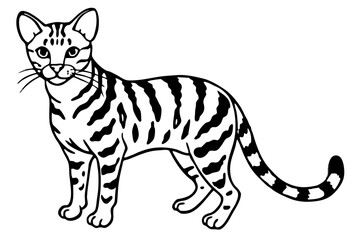 Margay Outline Art