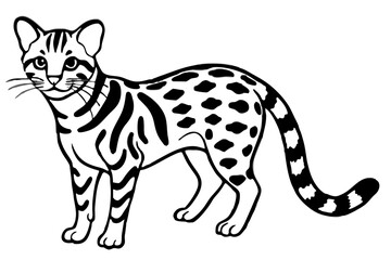 Margay Outline Art
