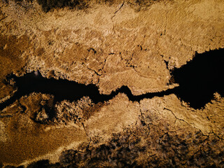 Drone shot of a dense, golden-brown marsh with a dark, winding stream cutting through dried reeds...