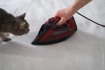 The gray cat looks curiously at the iron on the bed, domestic chores concept
