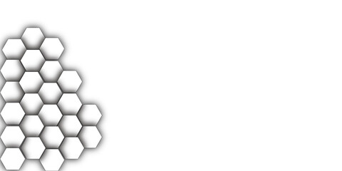 White Hexagonal Background. Luxury gray Pattern. Vector Illustration. 3D Futuristic abstract honeycomb mosaic white background  geometric mesh cell texture wallpaper.