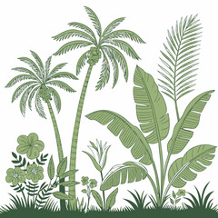 Tropical vintage botanical palm trees, banana tree, green plants floral seamless border white background. vector